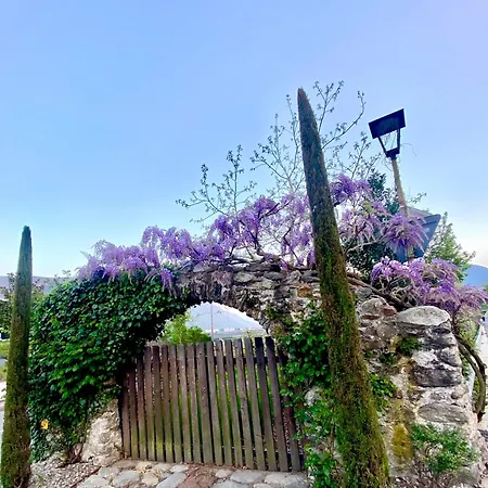 Primula - Haus Midi Apartment